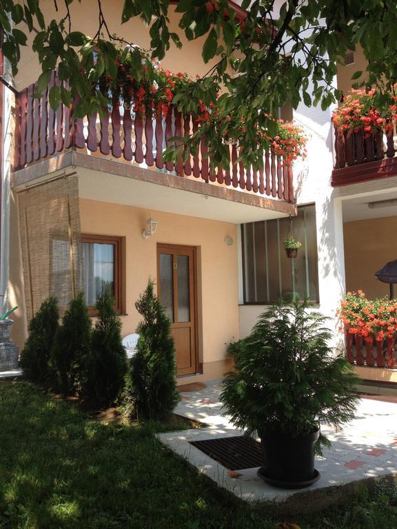 Guesthouse Ante Hodak Selište Drežničko Buitenkant foto