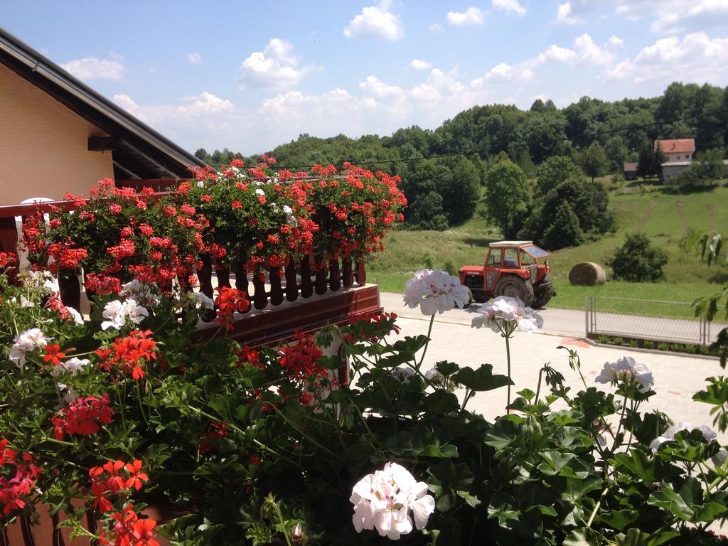 Guesthouse Ante Hodak Selište Drežničko Kamer foto