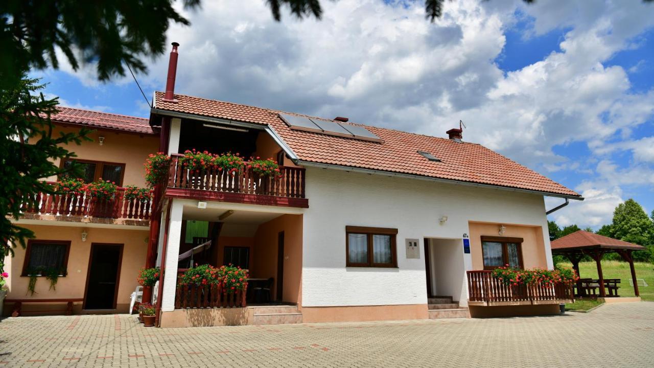 Guesthouse Ante Hodak Selište Drežničko Buitenkant foto