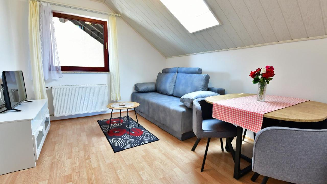 Guesthouse Ante Hodak Selište Drežničko Buitenkant foto