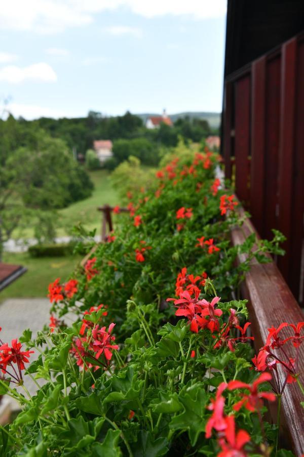 Guesthouse Ante Hodak Selište Drežničko Buitenkant foto