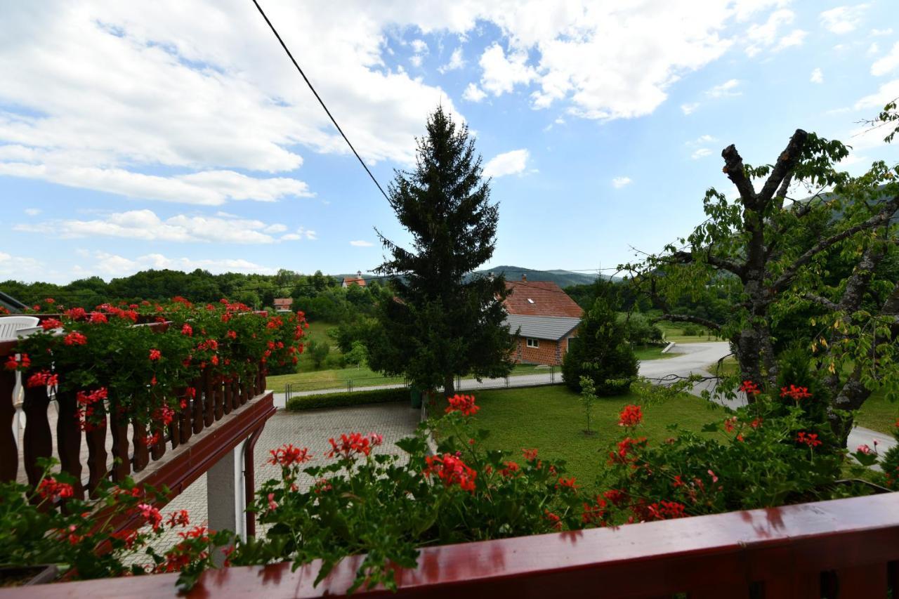 Guesthouse Ante Hodak Selište Drežničko Buitenkant foto