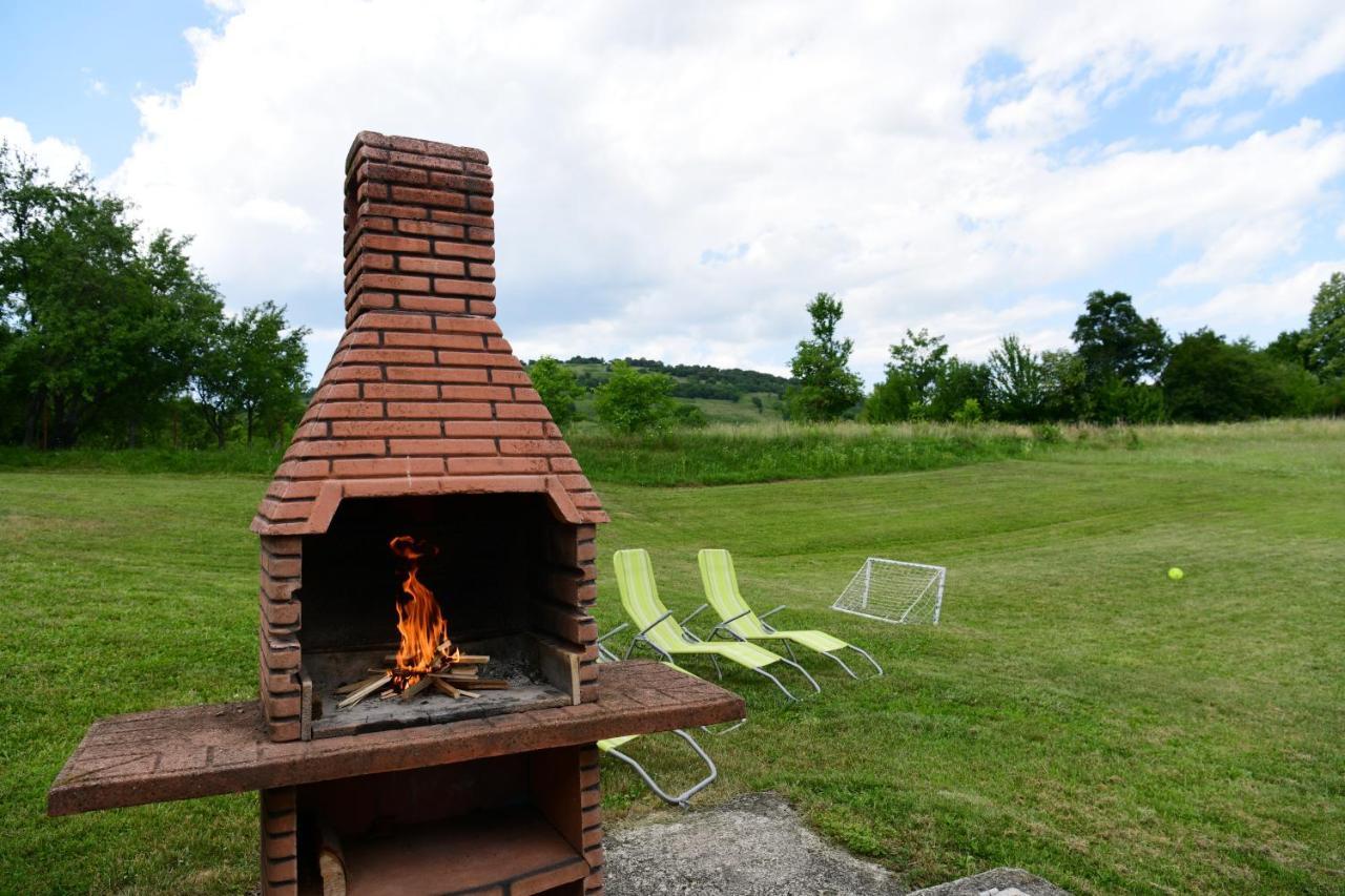Guesthouse Ante Hodak Selište Drežničko Buitenkant foto