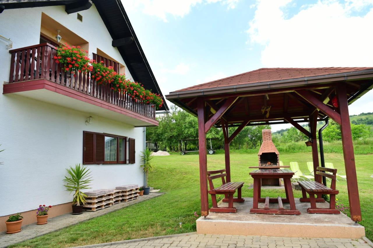 Guesthouse Ante Hodak Selište Drežničko Buitenkant foto