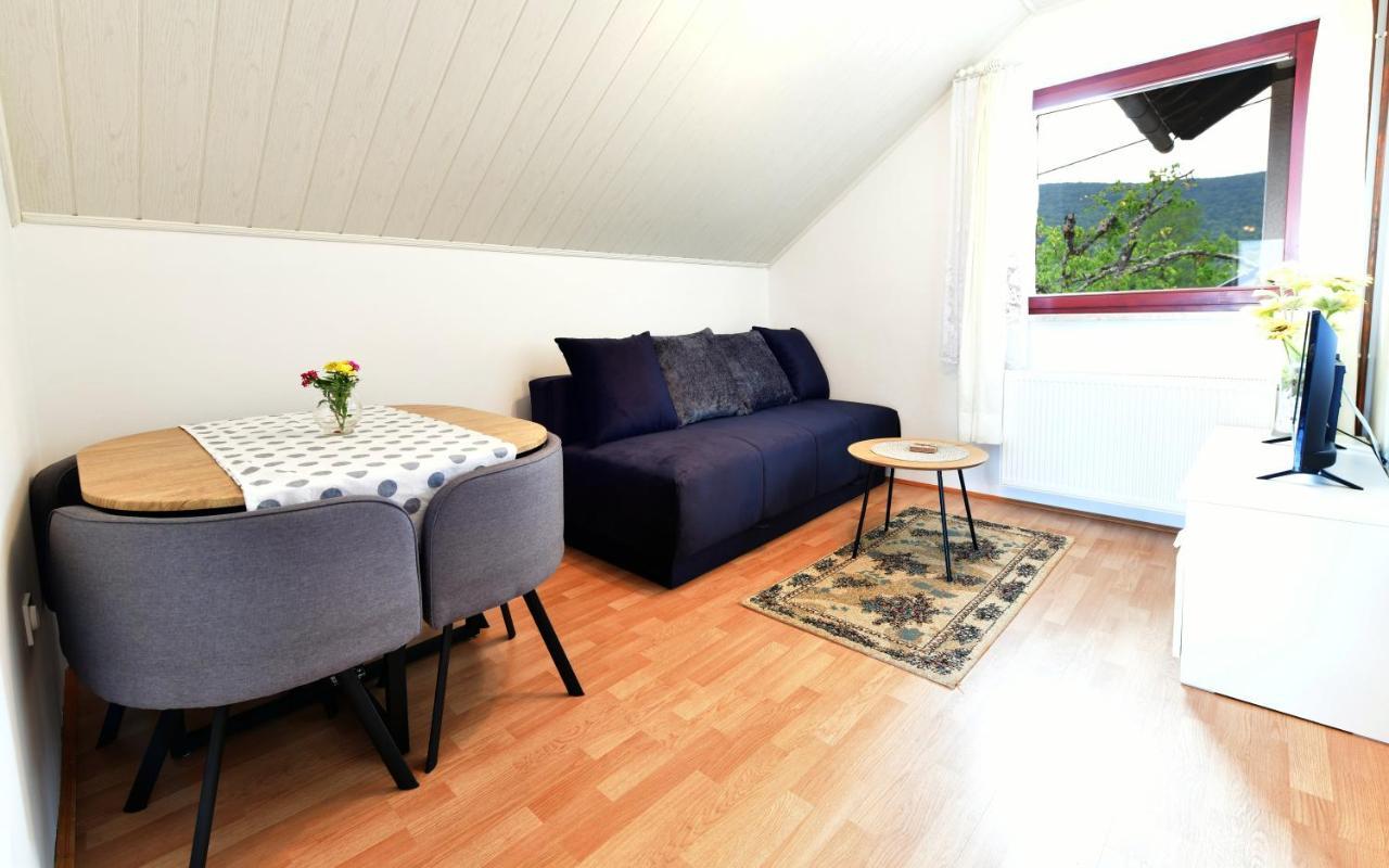 Guesthouse Ante Hodak Selište Drežničko Buitenkant foto