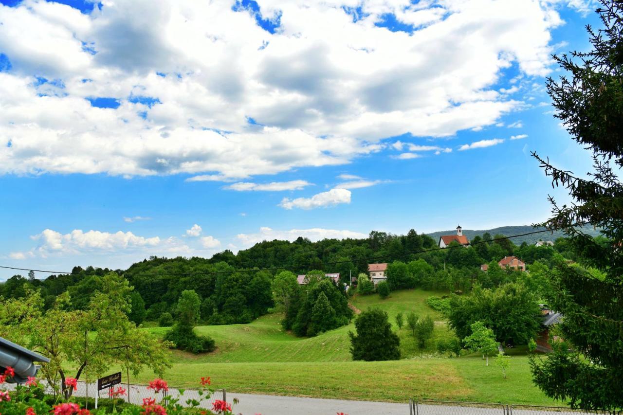 Guesthouse Ante Hodak Selište Drežničko Buitenkant foto